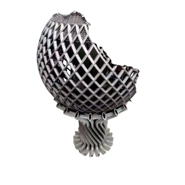 Custom-SLM-3D-Printing-Metal-Parts-stainless-steel-aluminum-CNC-machining-metal (2)